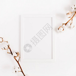 白色的空白照片框在白色背景上模拟和棉花枝平面图片
