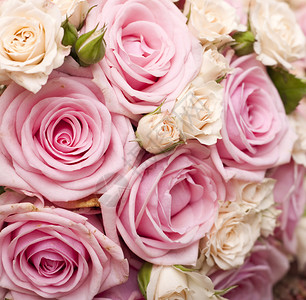 粉红玫瑰婚礼花束图片