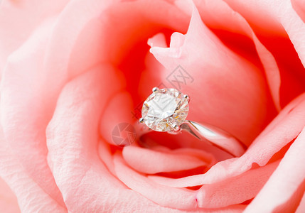 粉红玫瑰和钻石戒背景图片