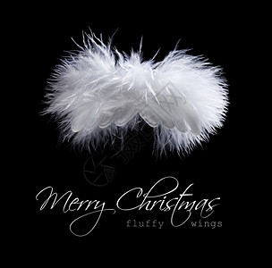 飞翔的圣诞快乐天使以黑白两种图片