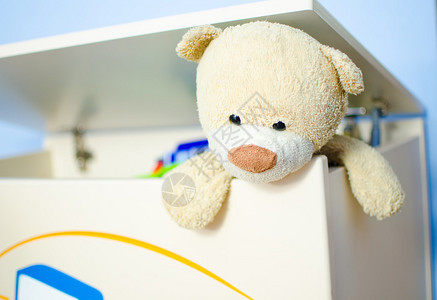 泰迪熊从玩具箱中逃脱图片