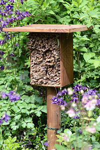 野生蜜蜂和其他昆虫的昆虫旅馆由图片