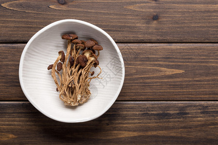 棕色茶树蘑菇中文常用图片