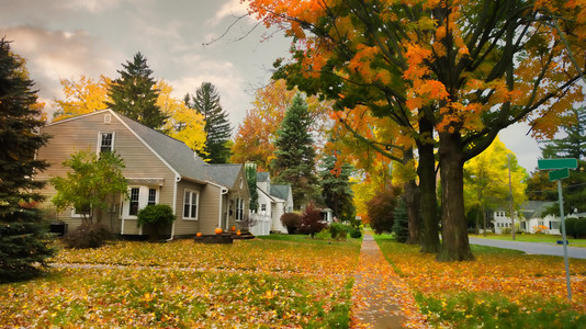 秋天美丽的乡村街道背景图片