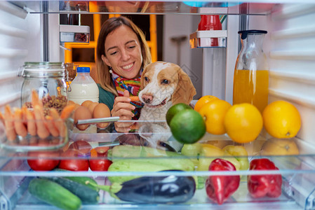 女人站在装满杂货的冰箱前喂狗从冰箱内图片