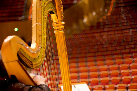 音乐厅里漂亮的竖琴哈图片