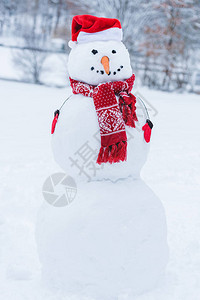 在圣塔帽围巾和小手套I冬季公园的雪人近图片