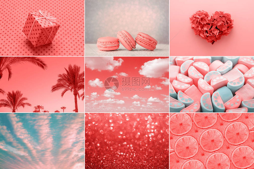 2019年的活珊瑚颜色爱心甜蜜的节日礼物时尚之类图片