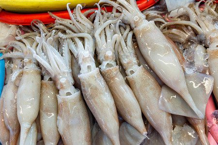 冰上新鲜鱿鱼群泰国有新鲜海产食品的鱼类图片