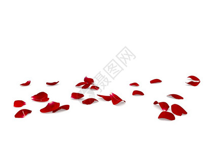 分散在地板上的红玫瑰花瓣图片