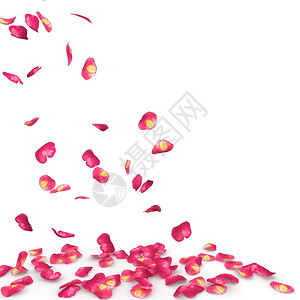 玫瑰花瓣斑点落到地上与图片
