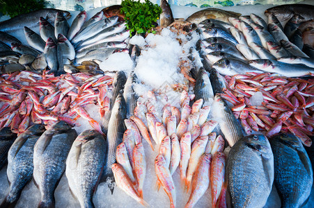 鱼店柜台上的鲜鱼背景图片