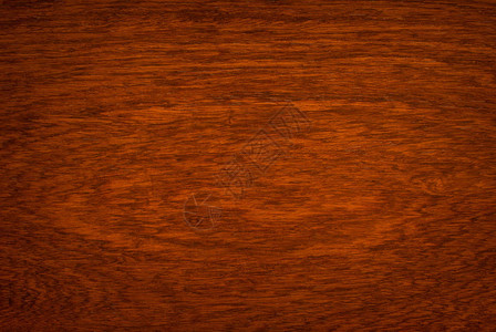 MacroOrmosia木材纹理图片
