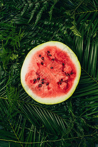 深绿色棕榈叶上一半甜红西瓜的顶部视图背景图片