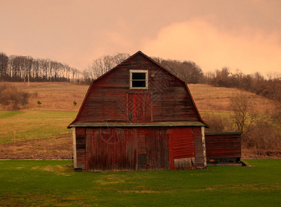 秋日的旧红谷仓背景图片