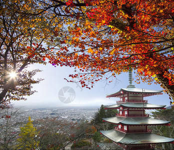 日本富士山秋天的红枫叶成像图片