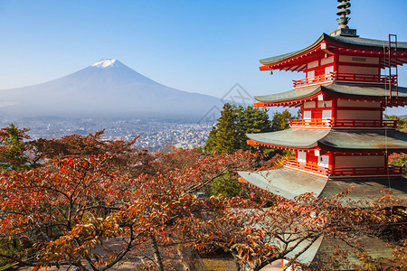 Chureito宝塔和富士山早上有秋叶图片