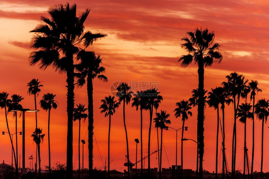 加州桑塞特风景红日落天空和加州棕图片