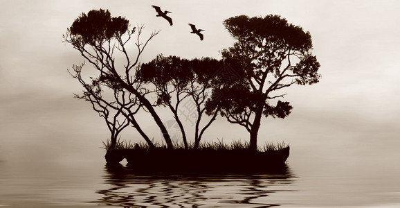 绿树岛在平静的水上方鸟图片