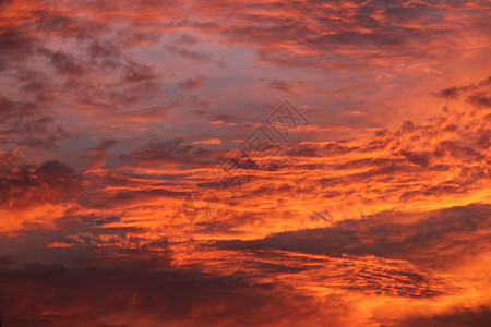 在日落背景的橙色云彩图片