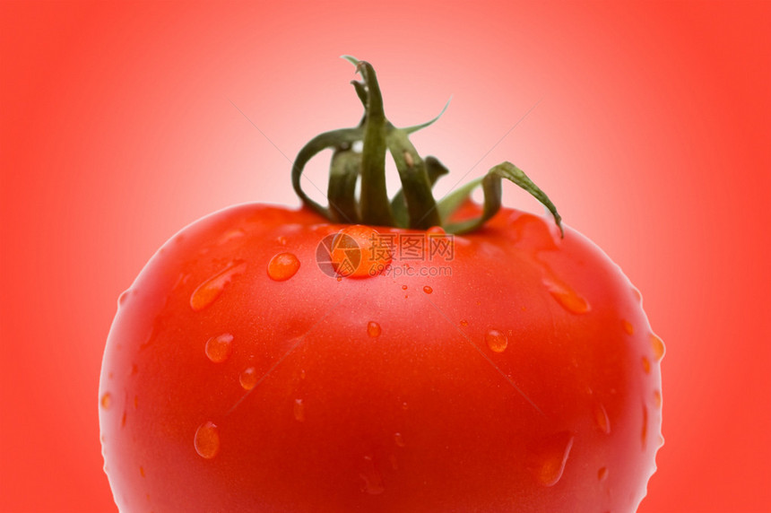 反对梯度的新鲜的红色蕃茄图片
