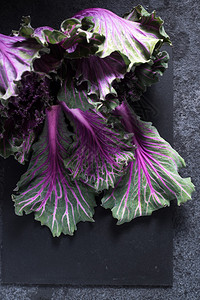 未加工的紫甘蓝蔬菜图片
