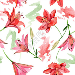水彩红百合花卉植物花无缝背景图案织物壁纸打印纹理背景纹理包装图案框架或背景图片