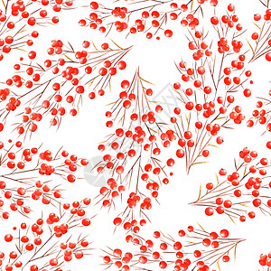 红浆果涂在白色背图片