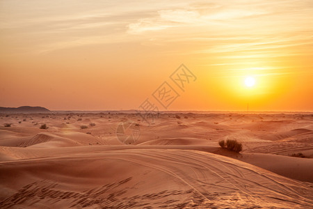 沙漠中的日落背景图片