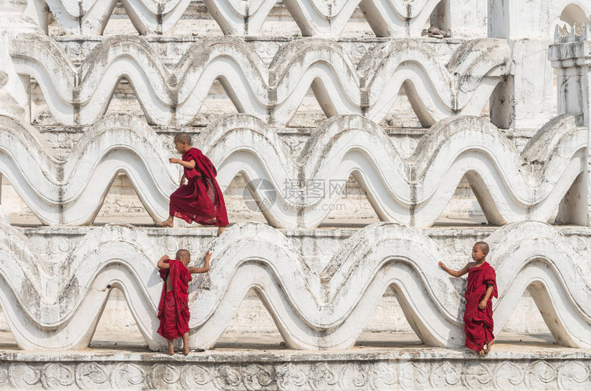 三名年轻的僧侣爬上MyaTheinTanPatgoda图片
