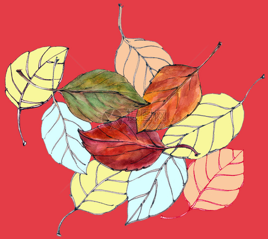 落叶在红色背景上的无缝模式图片