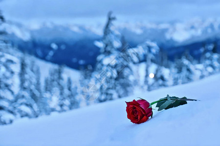 悲伤和悲伤的象征大雪过后的山峦胡德山波特兰俄图片
