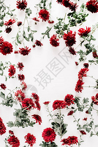 花框由白色背景上的红色花朵制成背景图片