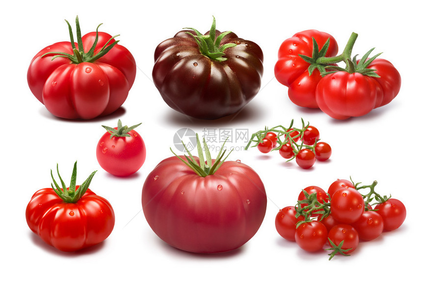 不同番茄品种的集合各种形状和颜色传家宝西红柿剪切路径图片