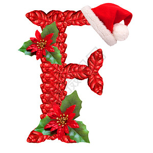 圣诞信F有圣诞帽是圣诞节的字图片