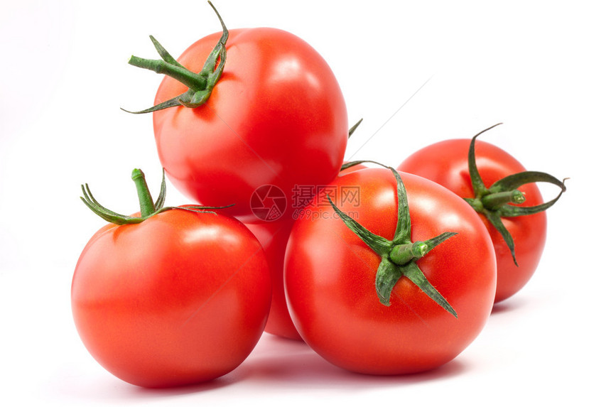 带有光影的西红柿在白色背景下被隔离图片