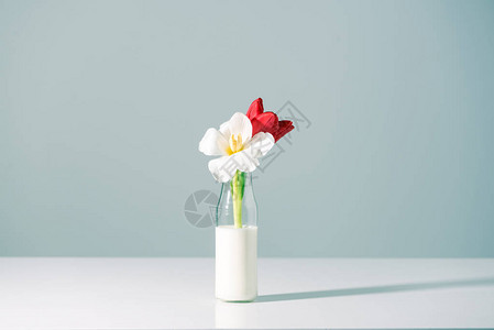盛满鲜红色和白红的美丽花瓶图片