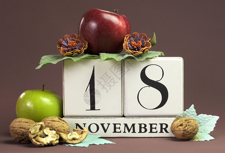保存日期为11月18日的季节个人日历图片