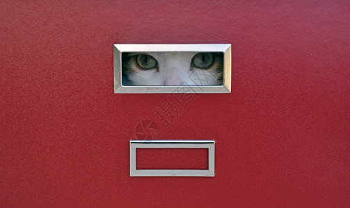 猫眼锁在文件柜里图片