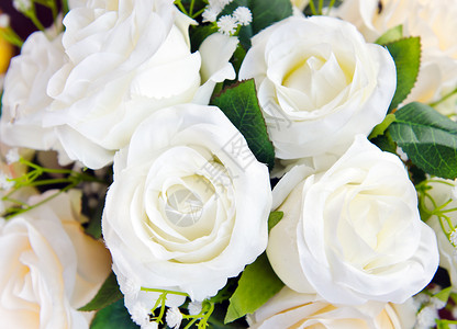 家里布置的白玫瑰花束图片