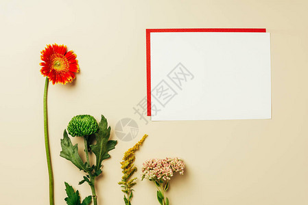 配有红白空卡和蜜蜂背景上美丽的花图片