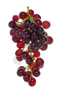 白色背景的清红葡萄孤立数图片