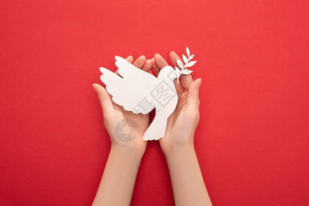 妇女把白鸽作为和平象征的红色握背景图片