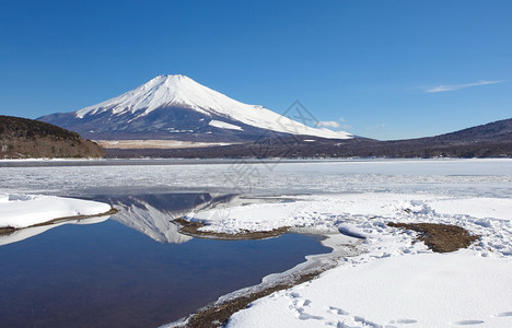 来自神奈川县箱根的富图片