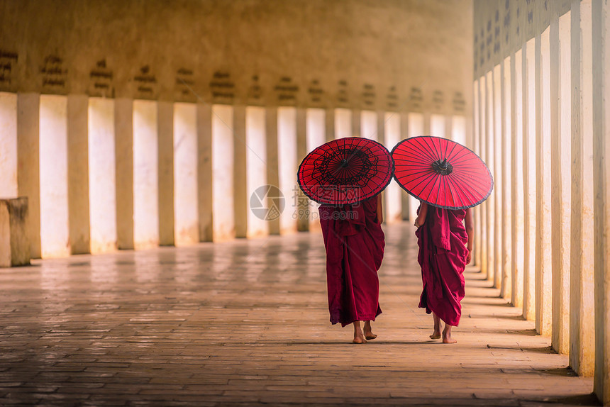 两名佛教僧侣新手拿着红色雨伞在缅图片