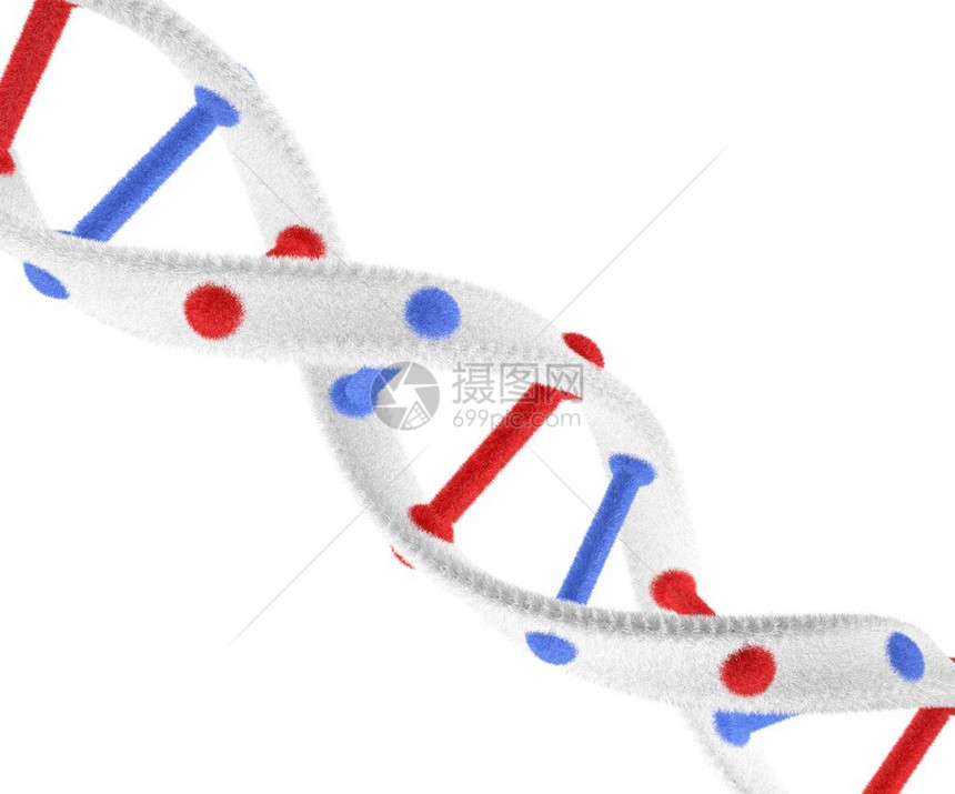 白色背景的羊毛脱氧核糖图片