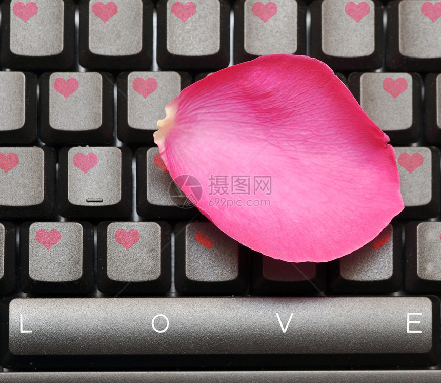 粉红玫瑰花瓣和键图片