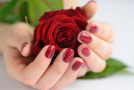 女人的手黑红指甲红玫瑰图片
