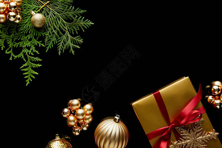闪亮的圣诞装饰绿色特华树枝图片