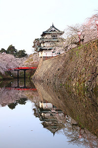 弘前城和樱花青森日本图片